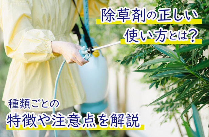 除草剤の正しい使い方とは？種類ごとの特徴や注意点を解説