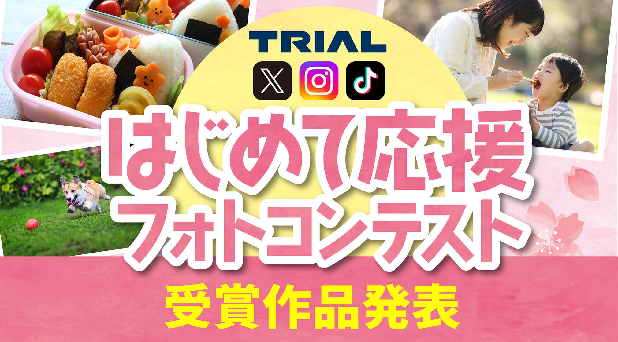 https://www.trial-net.co.jp/lp/trial-photocontest6-resultannoucement/?utm_source=HP&utm_medium=main&utm_campaign=lp&utm_content=photocontest