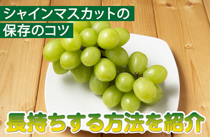 シャインマスカットの保存にはコツがある！長持ちする方法を紹介
