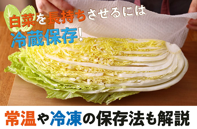 白菜を長持ちさせるには冷蔵保存が基本！常温や冷凍の保存法も解説