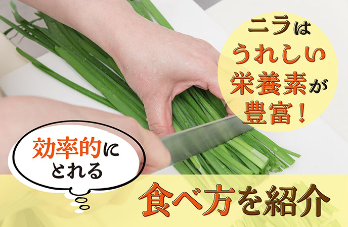 ニラの冷凍保存はアリ？冷凍・冷蔵で長持ちさせるポイント