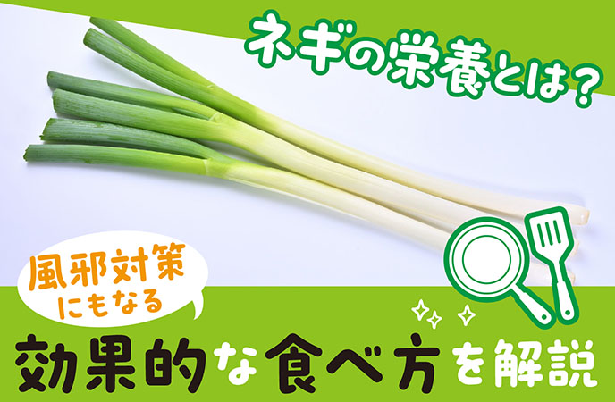 ネギの栄養とは？風邪対策にもなる効果的な食べ方を解説