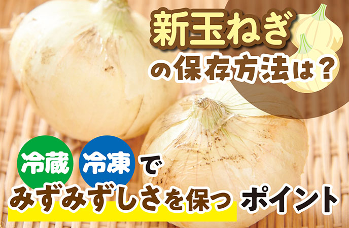新玉ねぎの保存方法は?冷蔵・冷凍でみずみずしさを保つポイント