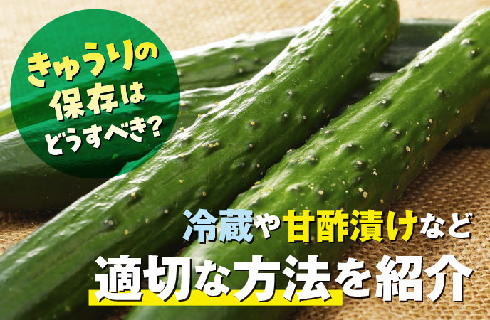 きゅうりの保存は冷蔵・冷凍、甘酢漬けも◎！適切な方法をプロが解説