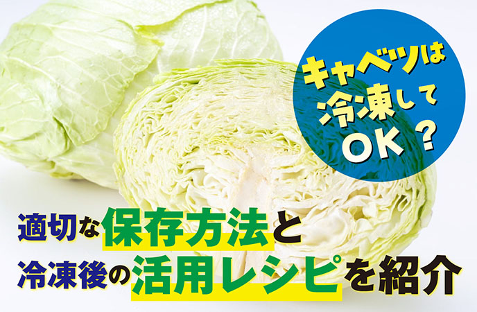 キャベツは冷凍してOK？適切な保存方法と冷凍後の活用レシピを紹介
